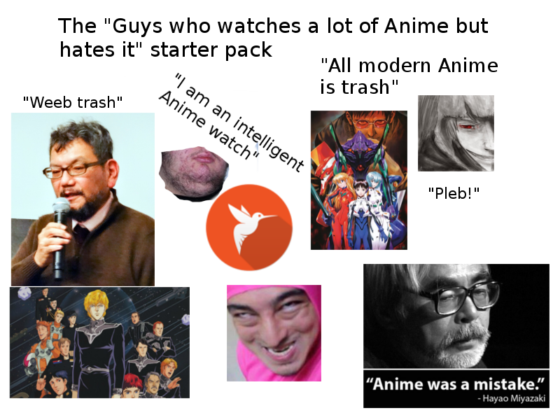 the-guy-who-hates-anime